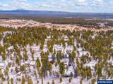 52531 Lost Ponderosa Rd - Photo 43