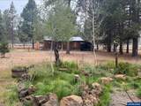52531 Lost Ponderosa Rd - Photo 49