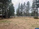 52531 Lost Ponderosa Rd - Photo 50
