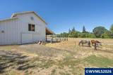 33844 White Oak Rd - Photo 27