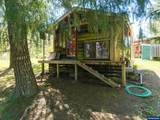26586 Fudge Rd - Photo 43
