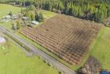 34931 Meridian Rd - Photo 43