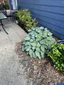 1575 Leo St - Photo 49