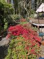 4366 Berry Ln - Photo 37