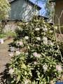 4366 Berry Ln - Photo 38