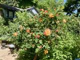 4366 Berry Ln - Photo 42