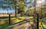 3643 Frazer Rd - Photo 47