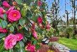 2340 Queen Av - Photo 48