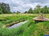 12175 Stayton Rd - Photo 46