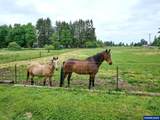 12175 Stayton Rd - Photo 47