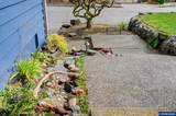 3669 Lachs Ct - Photo 6