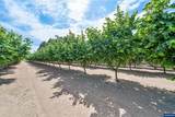 14604 Woodburn Monitor Rd - Photo 43