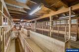 38072 Scravel Hill Rd - Photo 40