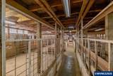 38072 Scravel Hill Rd - Photo 43