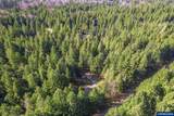 91638 Horse Creek Rd - Photo 41