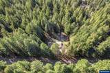 91638 Horse Creek Rd - Photo 42