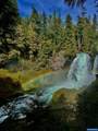 91638 Horse Creek Rd - Photo 45