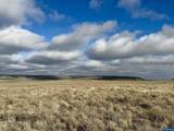 29327 Weaver Springs Rd - Photo 40