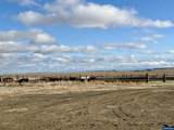 29327 Weaver Springs Rd - Photo 42