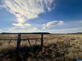 29327 Weaver Springs Rd - Photo 44
