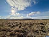 29327 Weaver Springs Rd - Photo 45