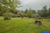 26825 Old Holley Rd - Photo 40