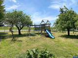 11503 Buena Vista Rd - Photo 10