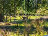 75325 Mosby Creek Rd - Photo 35