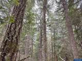 75325 Mosby Creek Rd - Photo 44