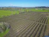 38565 Robinson Dr - Photo 48