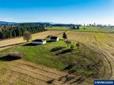42172 Rodgers Mountain Lp - Photo 43