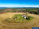 42172 Rodgers Mountain Lp - Photo 44