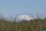 10418 Champoeg Rd - Photo 2