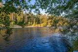 35853 Tennessee Rd - Photo 28