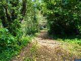 18591 Alsea - Photo 41