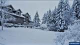3471 Cole Rd - Photo 49