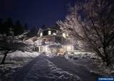 3471 Cole Rd - Photo 50