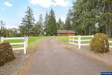 8732 Wildlife Ln - Photo 3
