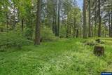 8732 Wildlife Ln - Photo 41