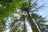 8732 Wildlife Ln - Photo 42