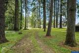 8732 Wildlife Ln - Photo 43