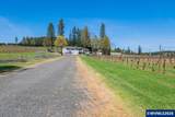 25357 High Pass Rd - Photo 4