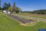 25357 High Pass Rd - Photo 8