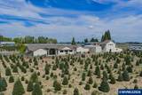 4716 Poinsettia St - Photo 40