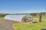 33246 Wilhoit Rd - Photo 39