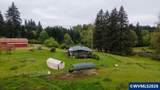 40235 Rainbow Dr - Photo 49