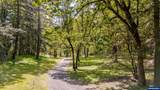 28011 Pine View Rd - Photo 28