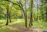 28011 Pine View Rd - Photo 29
