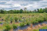 39129 Groshong Rd - Photo 36