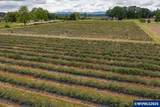 39129 Groshong Rd - Photo 38